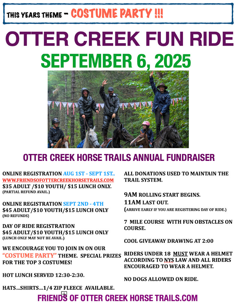Fun Ride Poster